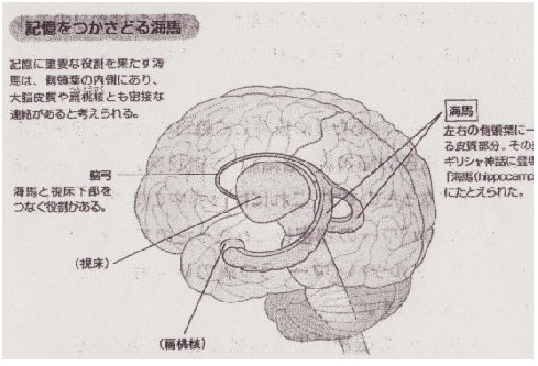 画像の説明